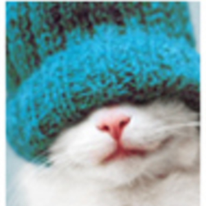 MaximeRacicot's avatar